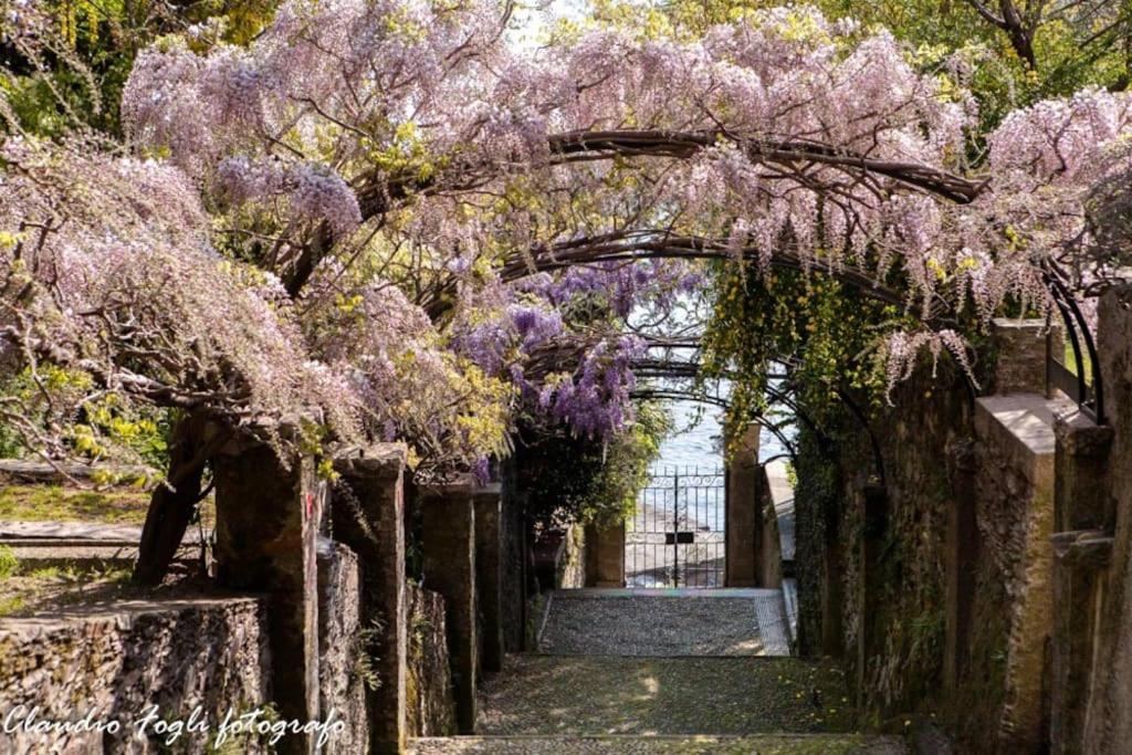 Nido Dei Gelsi Vicino Al Lago Free Parking Intra Exterior foto